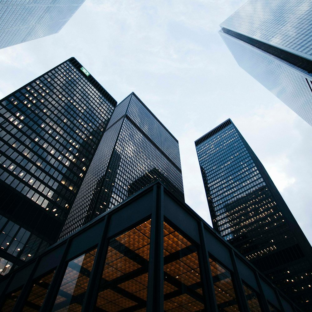 Real Estate Consultancy